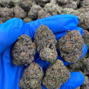 BCG Strain Weed