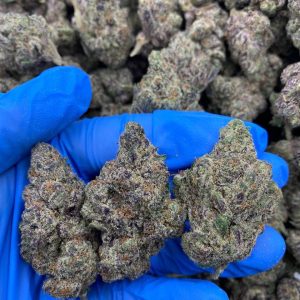 Biscotti Weed Strain
