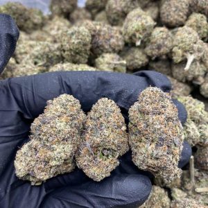 Black Runtz Weed Strain