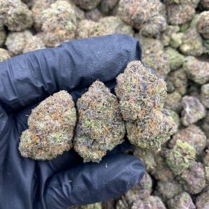 Blue Dream Weed Strain