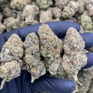 Gelato Cake Weed Strain