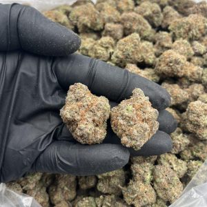 Gelonade Weed Strain