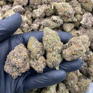 Madelato Weed Strain