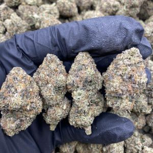 Snow Cap Weed Strain