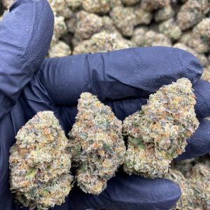 White Dro Weed Strain