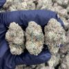 White Widow Weed Strain