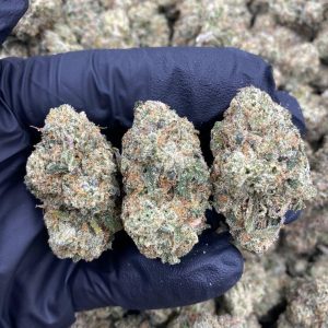 White Widow Weed Strain