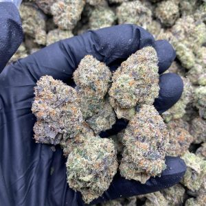 Gary Payton Weed Strain
