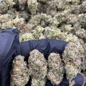 Permanent Marker Weed Strain