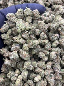 Best Weed Strains 2025