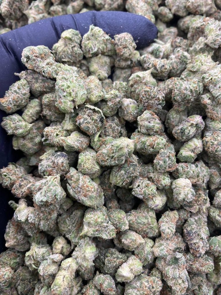 Best Weed Strains 2025