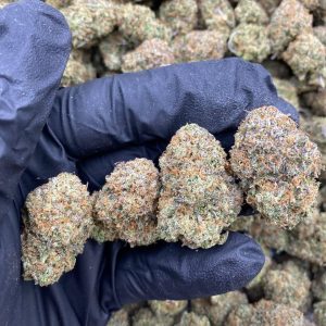 Gumbo Weed Strain