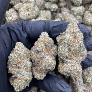 Zoap Weed Strain