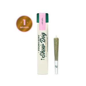 Dogwalkers Pre Roll