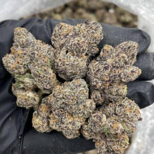 Blue Nerds weed strain
