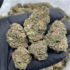 Gas Face weed strain